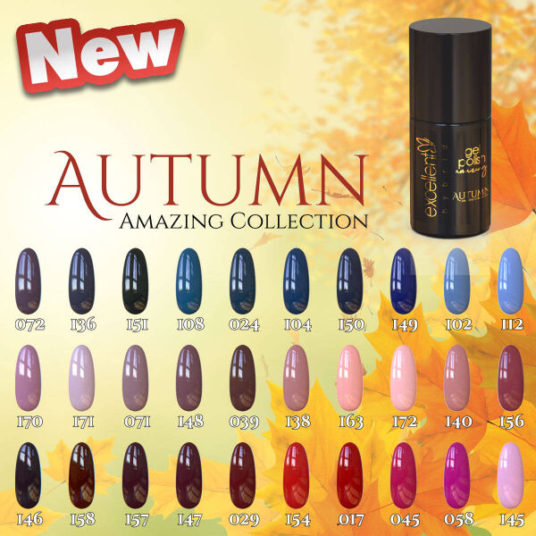 AUTUMN AMAZING COLLECTION